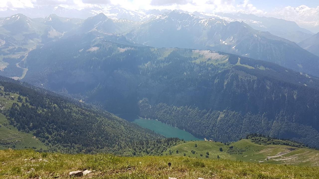 Appartement Proche Morzine Centre Et Remontees Mecaniques - Oree De Morzine 24A モントリオン エクステリア 写真